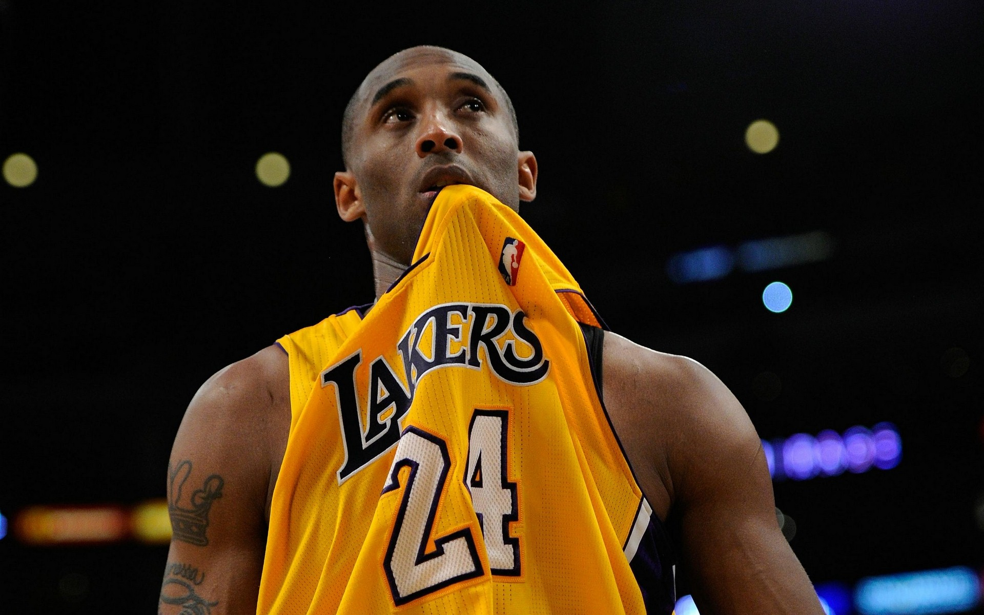 的完整性 的完整性