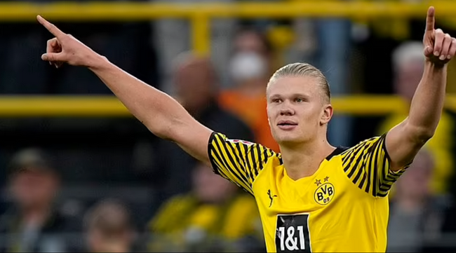 与中路合围 与中路合围